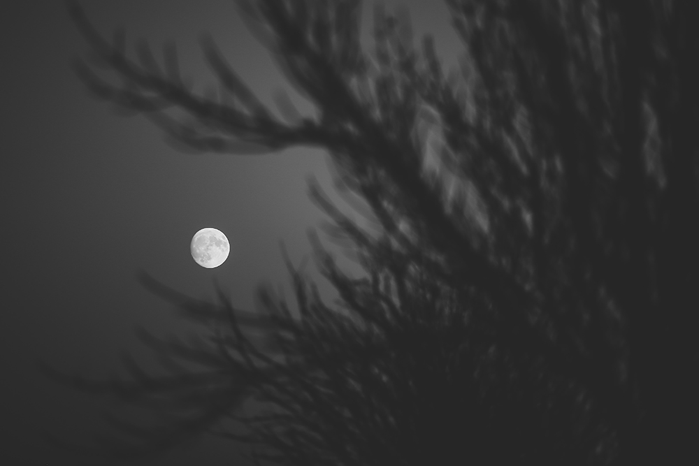 black and white moon