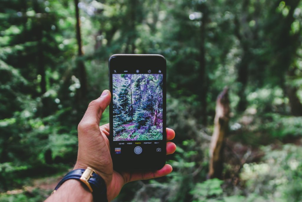 Photo of camera phone photography of forest