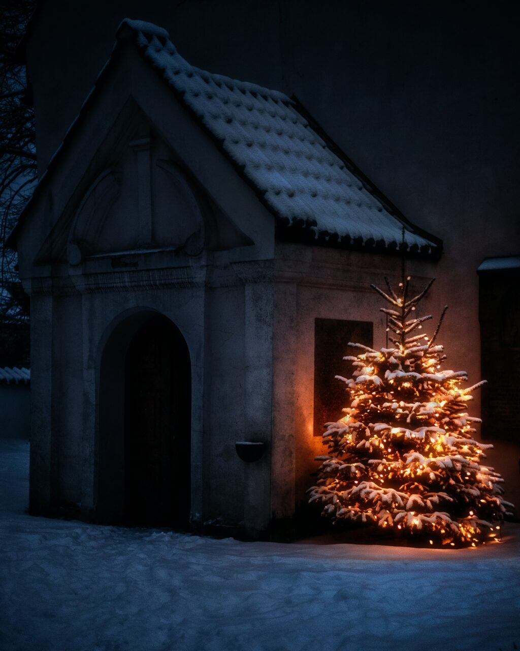 low light christmas tree