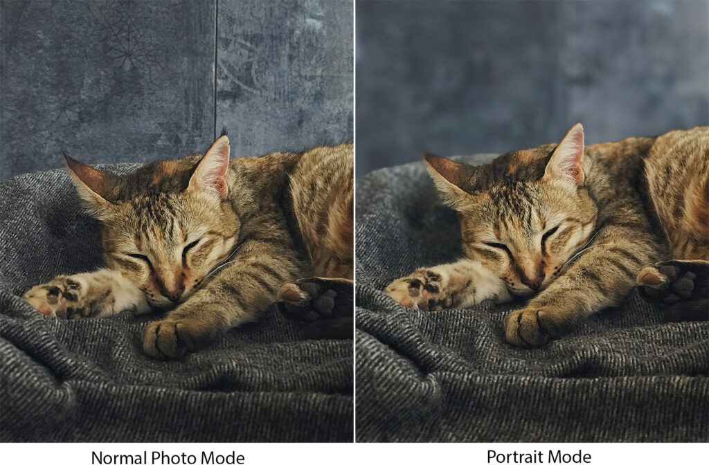 normal and portrait mode on smartphone