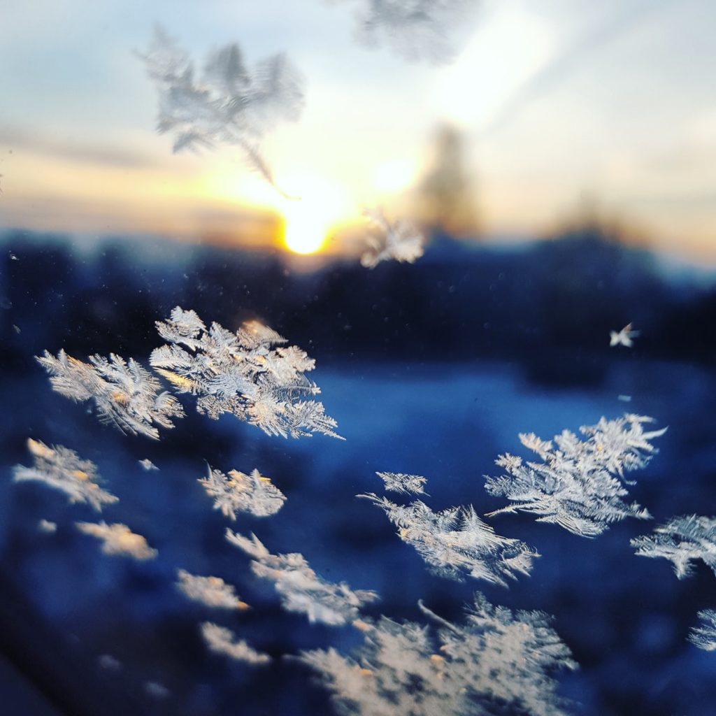 photo of snowflakes on a window