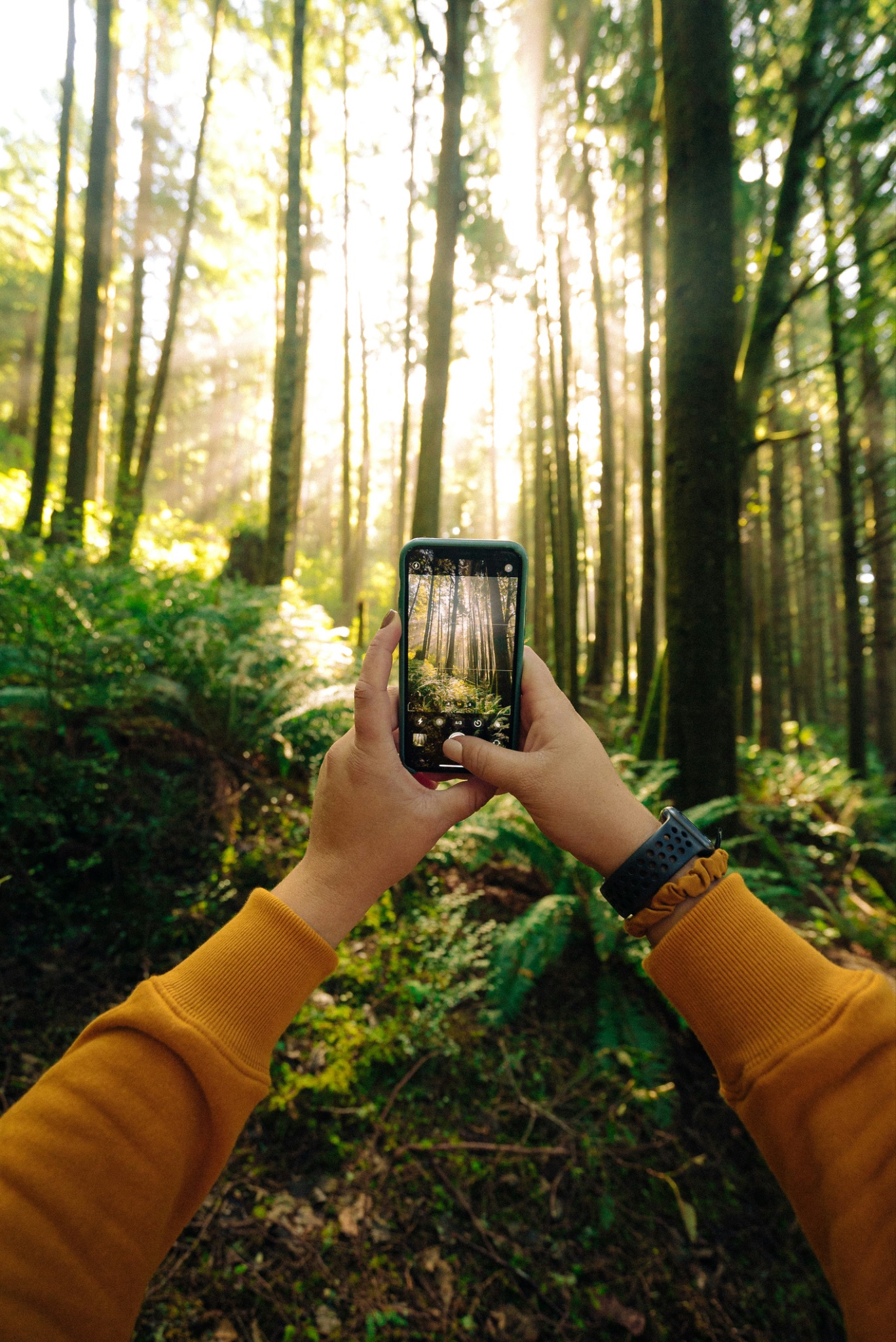 Someone taking photos in a forest on an advanced smartphone 