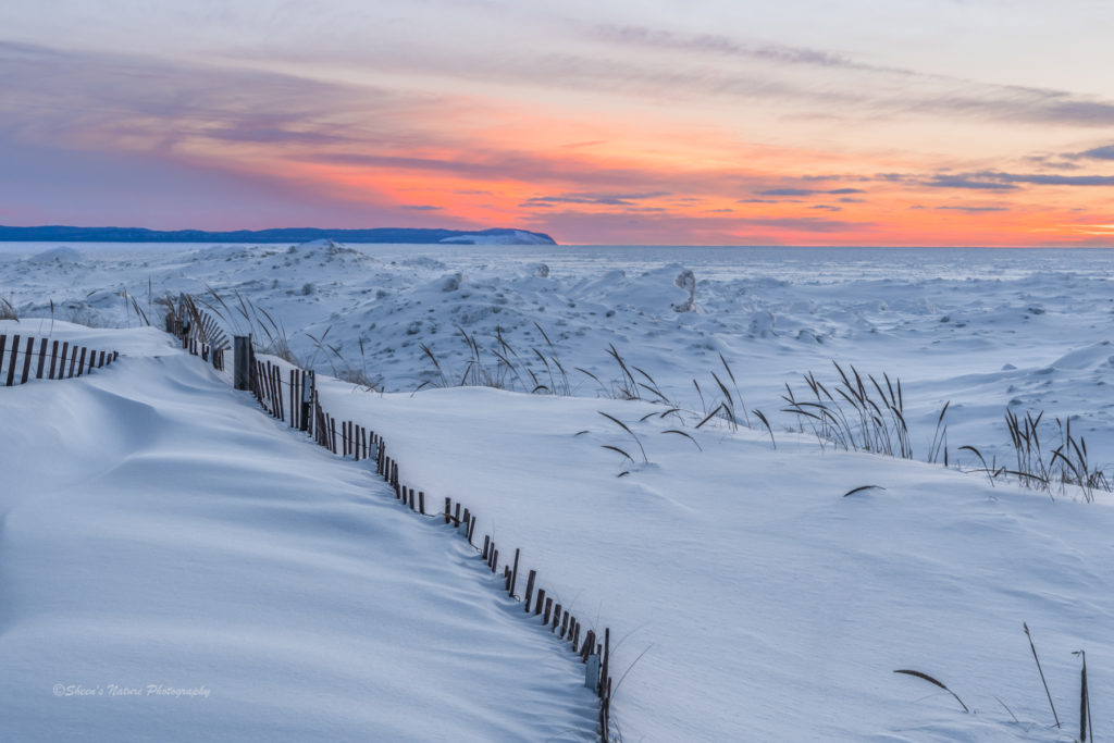 emotion in photography soothing winter