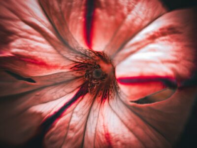 syed-foyez-uddin-CO-gr9QB6Ek-unsplash