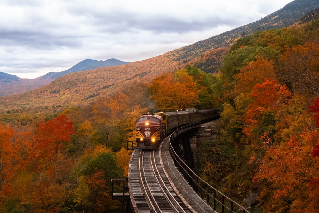 train passing through the forest