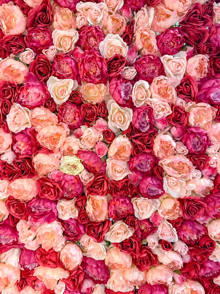 Colour photography inspiration for the August contest