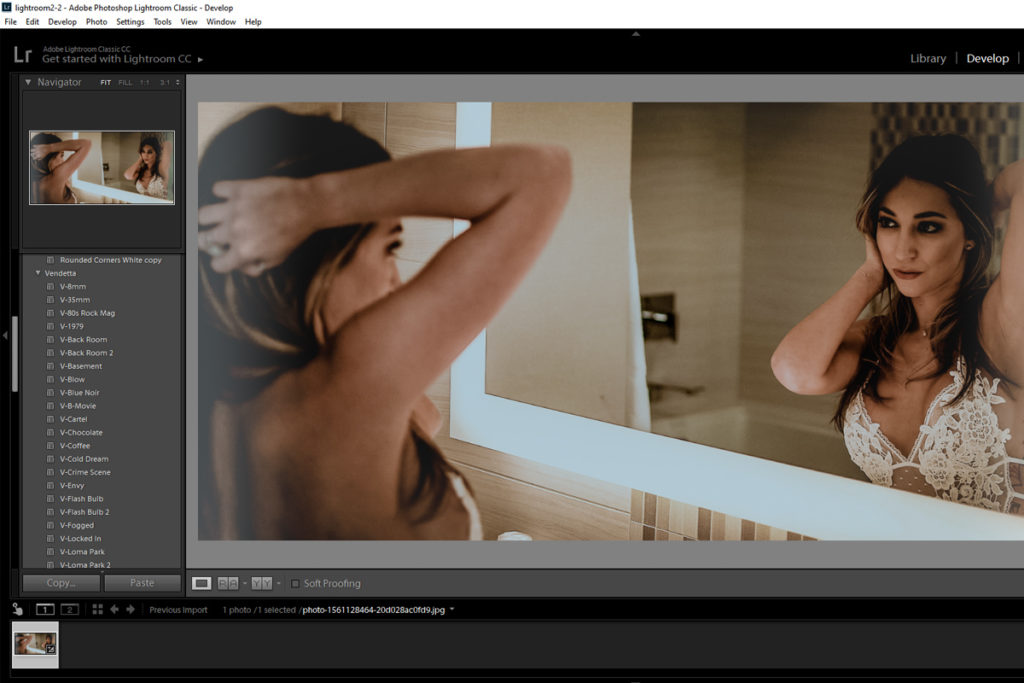 vendetta presets screenshot in lightroom