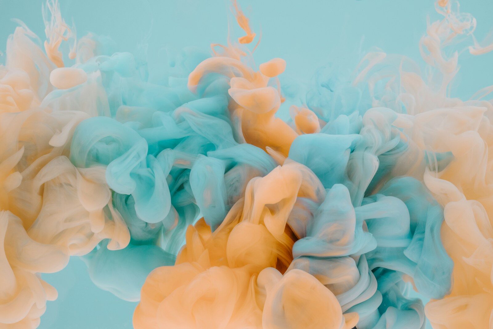 Colour photography contest inspiration