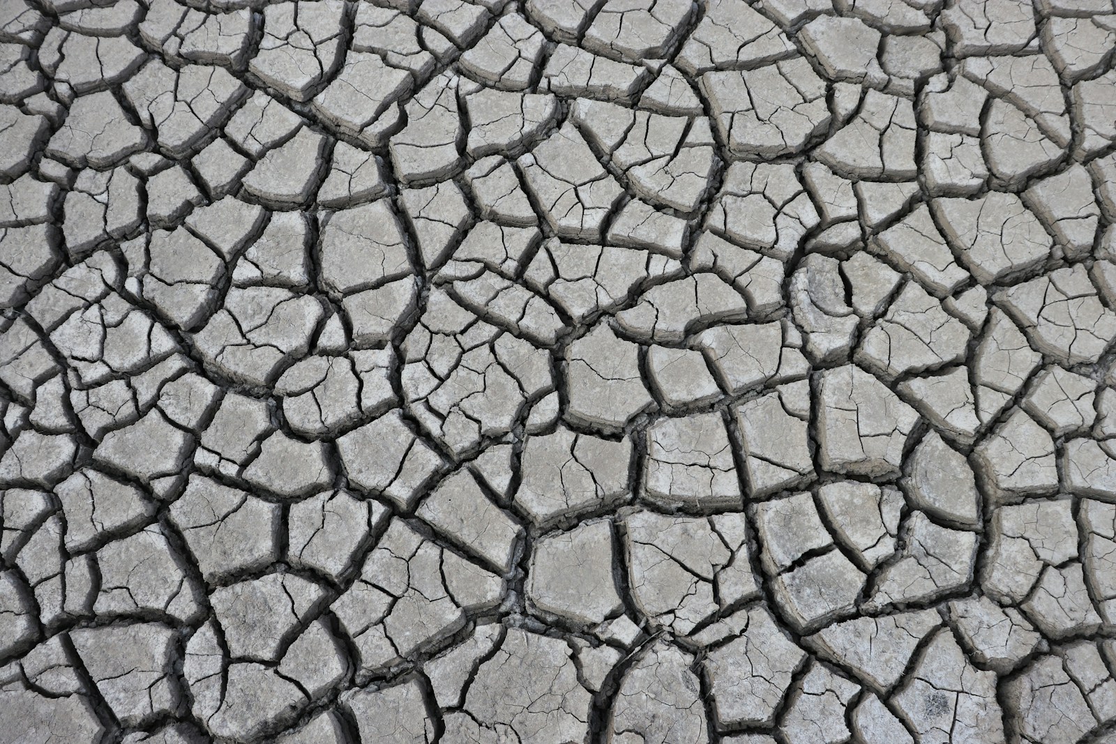 abstract pattern in mud