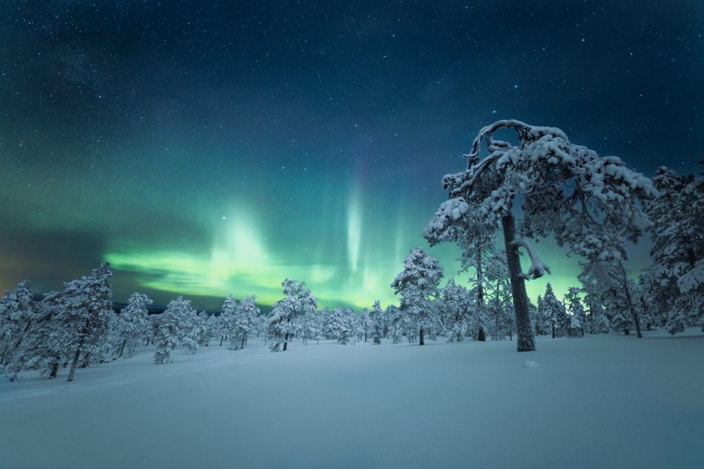 snow covered ground under starry night