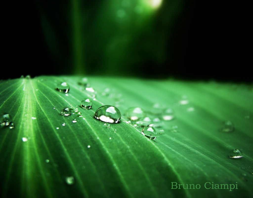 waterdrops