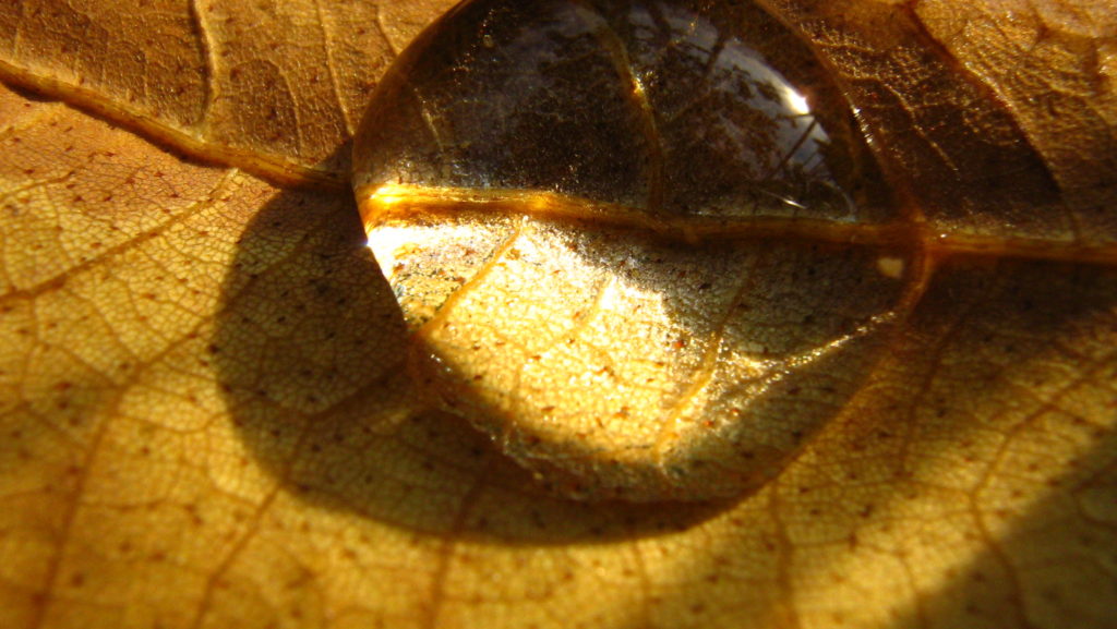 waterdrops