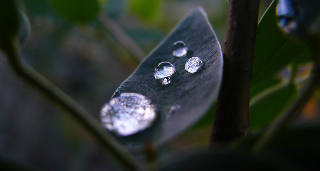 waterdrops