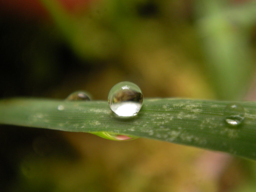 waterdrops