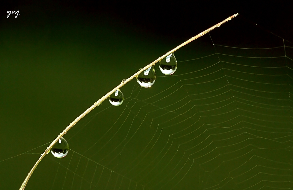 waterdrops