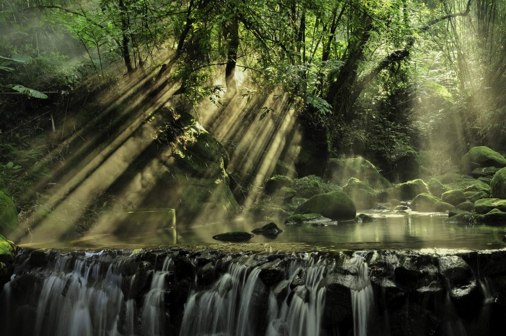 Waterfall and sunlight shining through the forrest