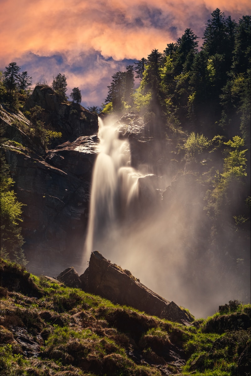 waterfalls near trees