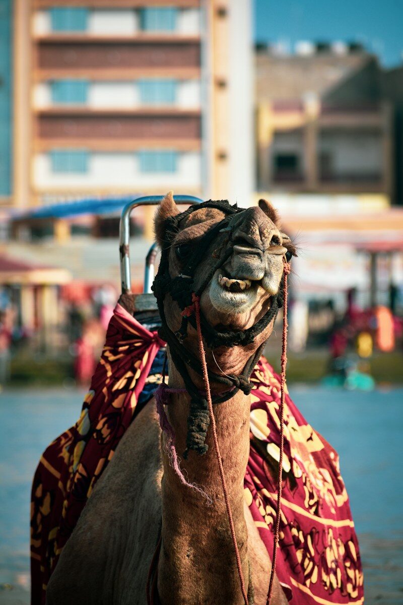 Decisive moments photography example