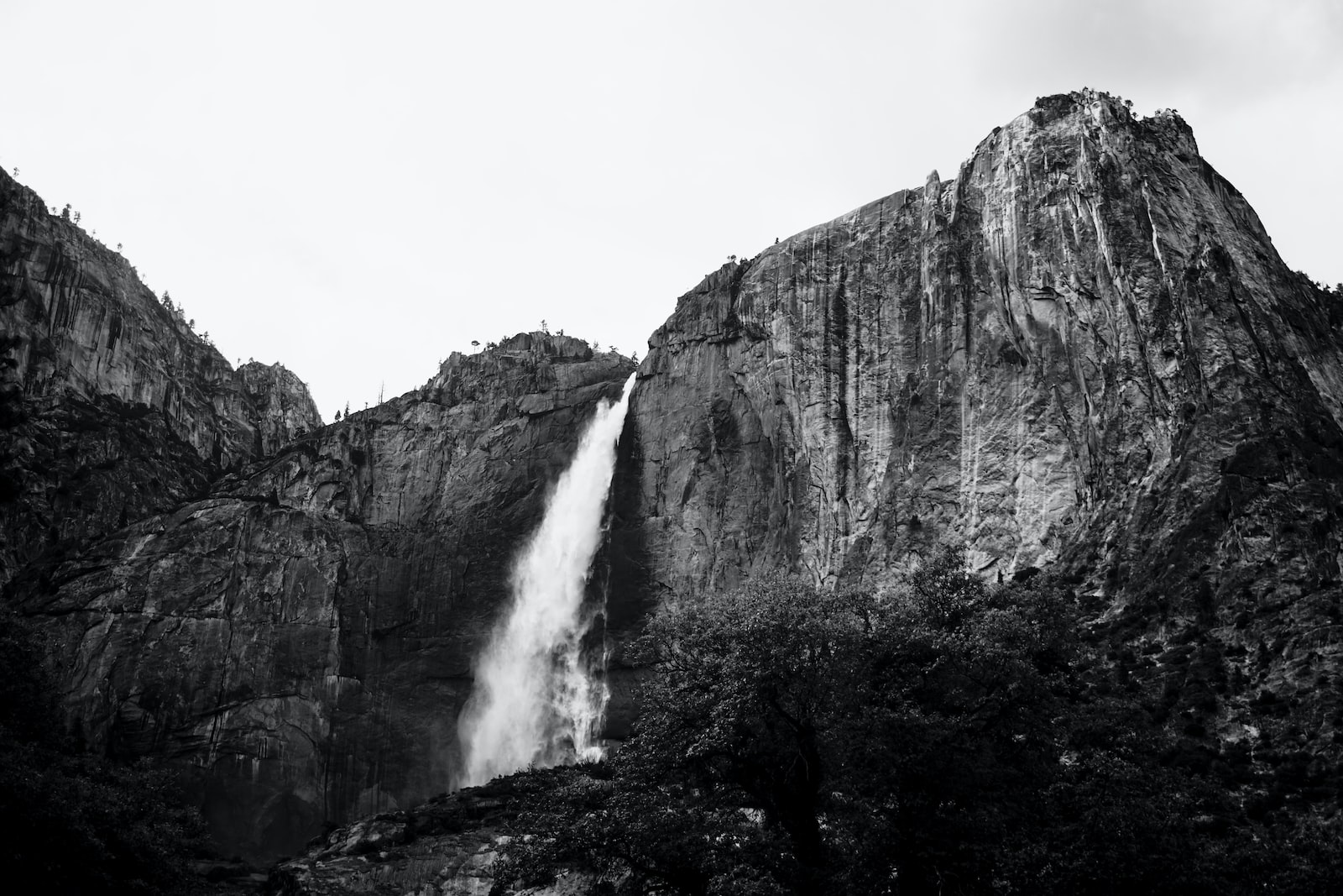 Gallery Owner with Forged Ansel Adams Photographs Arrested in Michigan